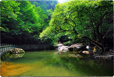 鄉村產業振興