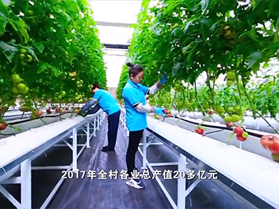 地美生金——山東省臨沂市蘭陵縣卞莊街道代村