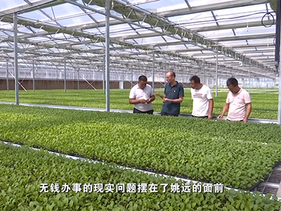 能人引領——寧夏回族自治區固原市原州區彭堡鎮姚磨村