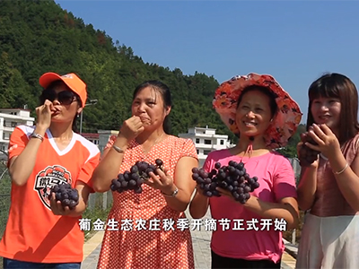 大地之子——江西省贛州市南康區浮石鄉窩坑村
