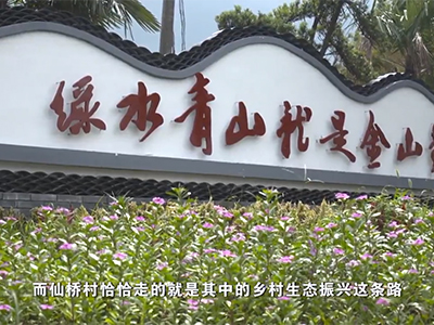 綠色發展——上海市崇明...