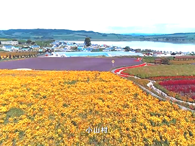生態為王——吉林省敦化...