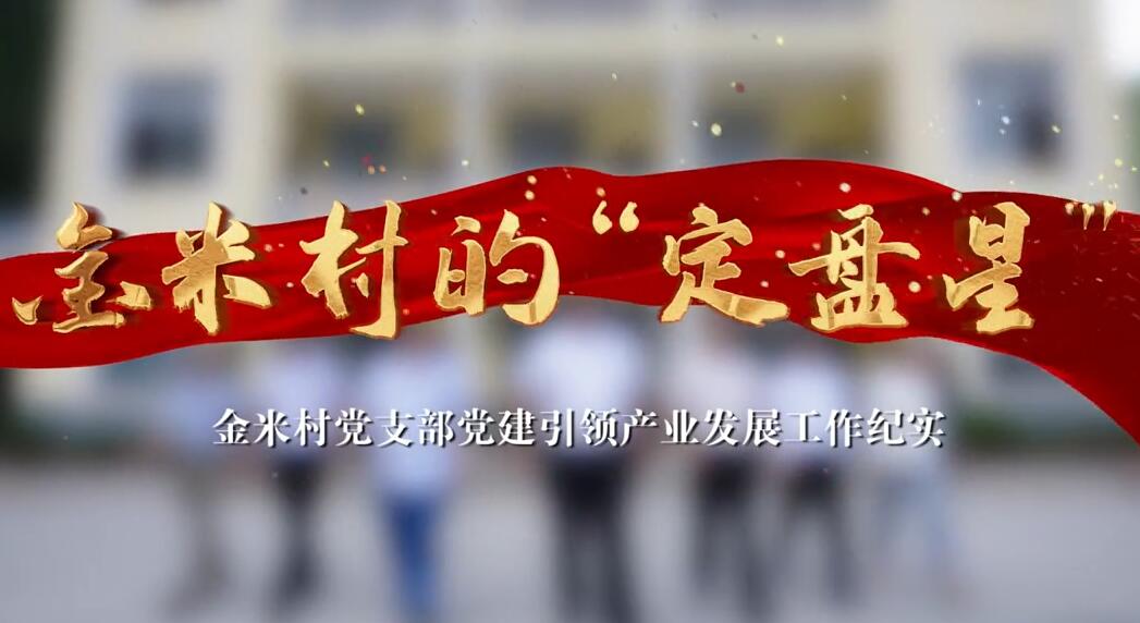 金米村的“定盤星”