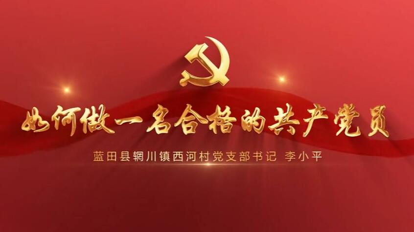 如何做一名合格的共產(chǎn)黨員
