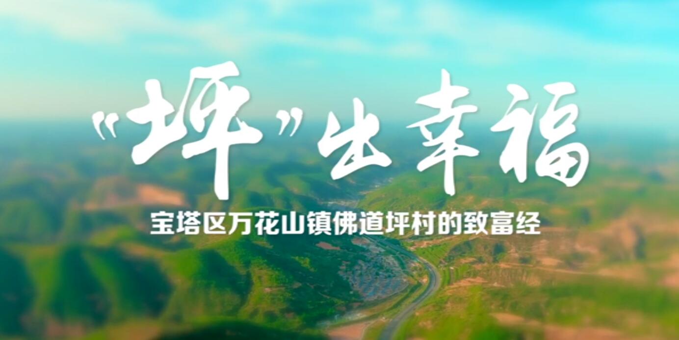 “坪”出幸福6