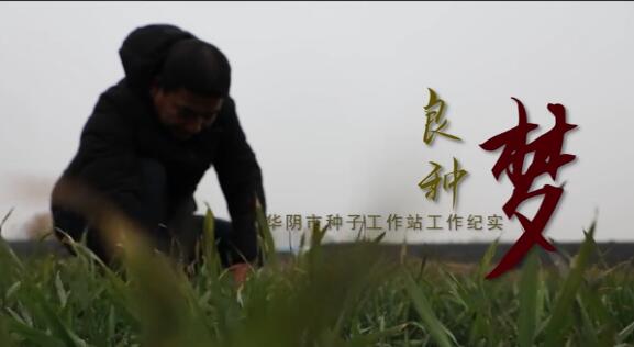 良種夢