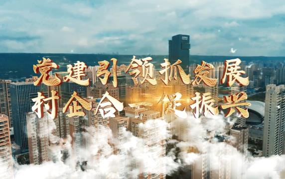 黨建引領(lǐng)抓發(fā)展 村企合...