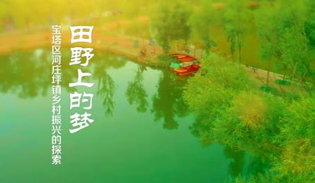 田野上的夢