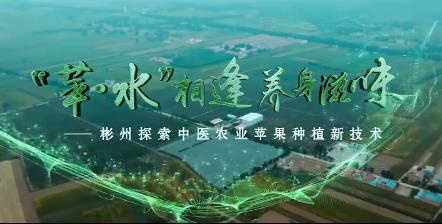 “蘋水”相逢 養(yǎng)身滋味