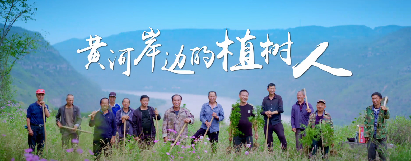 黃河岸邊的植樹人8