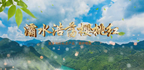 灞水浩蕩櫻桃紅7