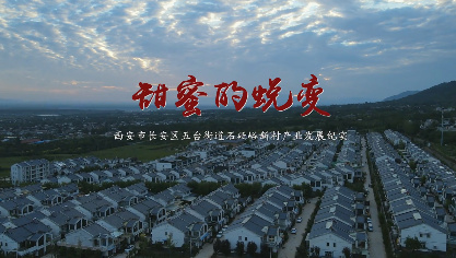 甜蜜的蛻變5
