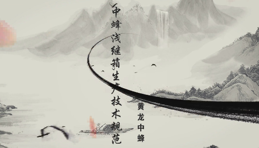 黃龍中蜂淺繼箱生產(chǎn)技術...13