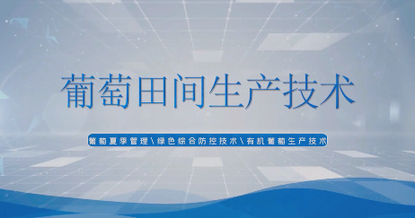 農業(yè)小課堂——葡萄田間...15
