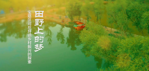 田野上的夢5