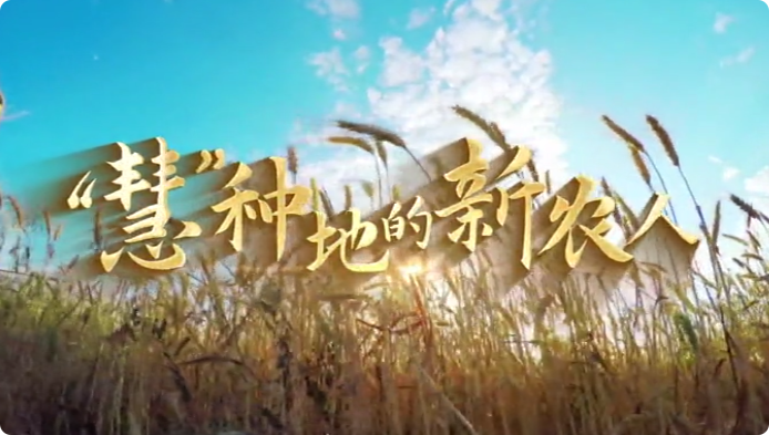 “慧”種地的新農人9