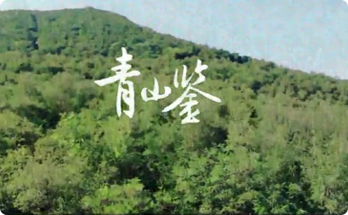 青山鑒3