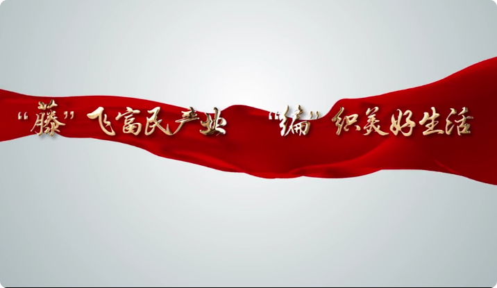 “藤”飛富民產(chǎn)業(yè) “編...17