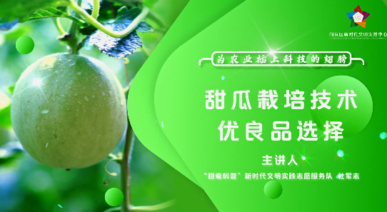 甜瓜栽培技術優良品種選擇