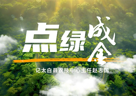 點綠成金4