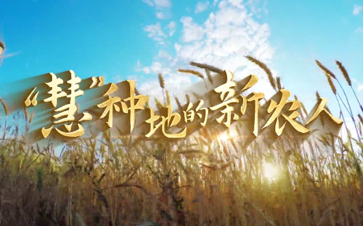 “慧”種地的新農人9