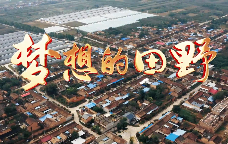 夢想的田野5