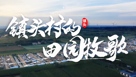 鎮(zhèn)頭村的田園牧歌8