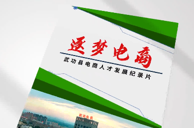 逐夢電商4