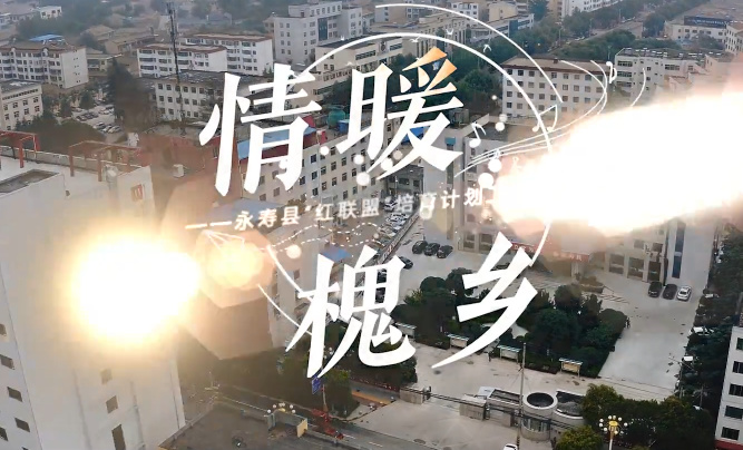 情暖槐鄉4