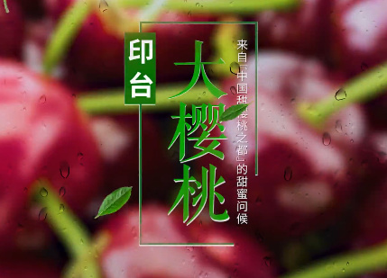 印臺大櫻桃