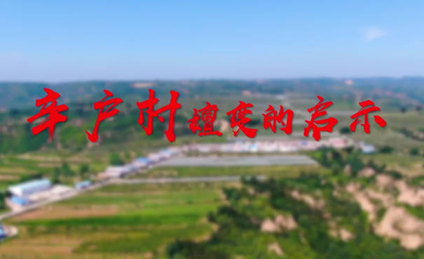 辛戶村嬗變的啟示8