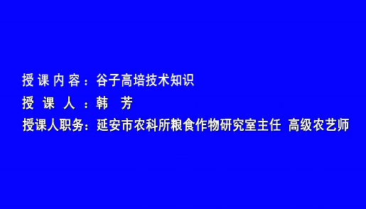 谷子高培技術(shù)培訓(xùn)8