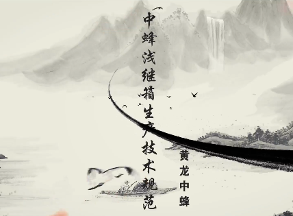 黃龍中蜂淺繼箱生產(chǎn)技術(shù)...13