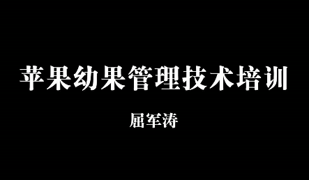 蘋果幼果管理技術(shù)培訓(xùn)10
