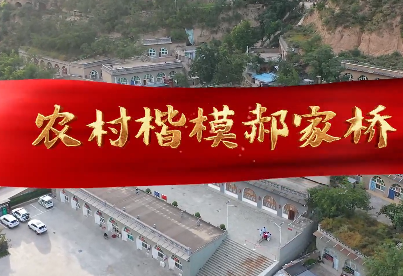 農村楷模郝家橋