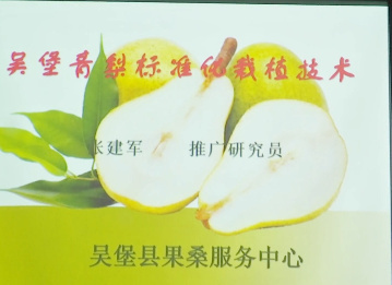 吳堡青梨標(biāo)準(zhǔn)化栽植技術(shù)...13
