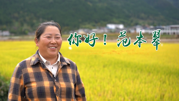 你好！范本翠
