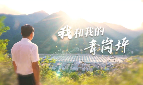 我和我的青崗坪
