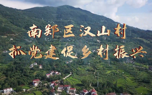 南鄭區漢山村抓黨建促鄉...14