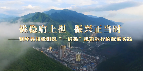 挑穩肩上擔  振興正當時