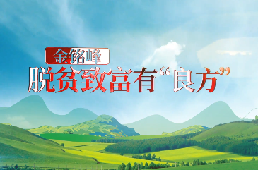 金銘峰 脫貧致富有“良方13