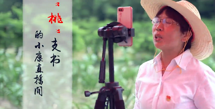 “桃”支書的小康直播間11