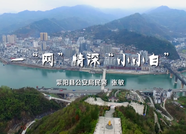 一“網”情深“小小白”