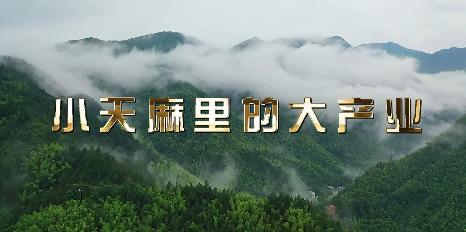 小天麻里的大產業