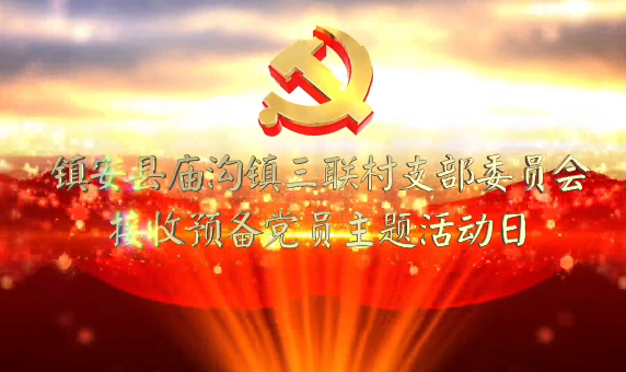 鎮安縣廟溝鎮三聯村黨支...26