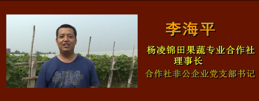 錦田創(chuàng)業(yè)的追夢人——李...