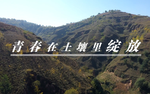 青春在土壤里綻放