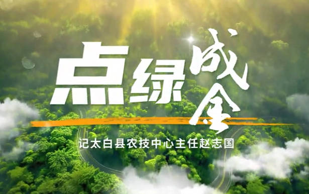 點綠成金4
