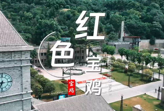 紅色寶雞4