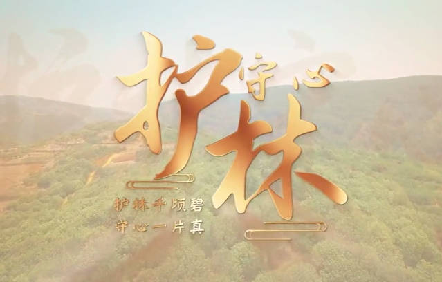 護林守心4
